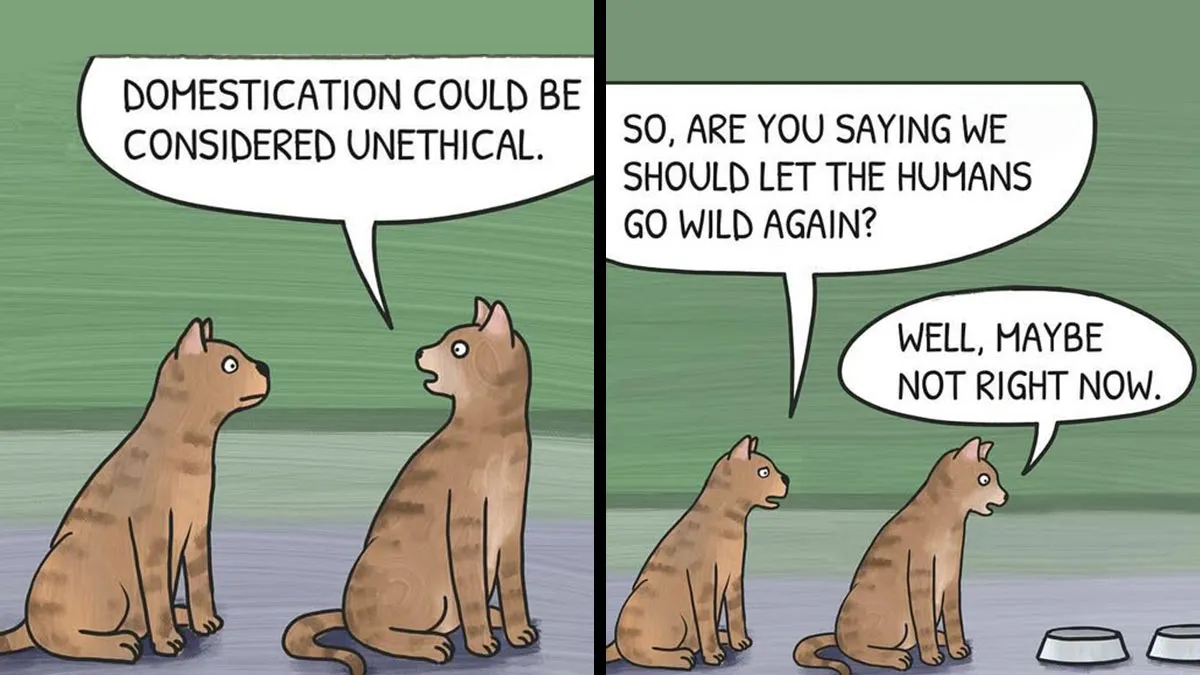 20 Comics By ‘Bonus Context’ That Mix Humor With Existential Thoughts In The Most Unexpected Way