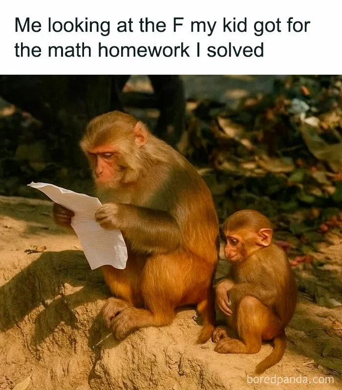 50 Hilarious Memes To Help You Decompress When Life Gets A Little Bit Too Much