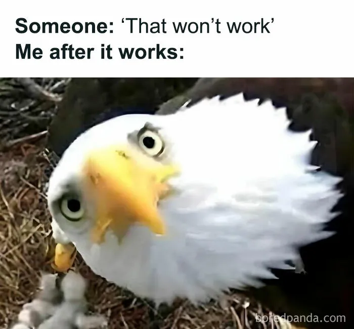50 Hilarious Memes To Help You Decompress When Life Gets A Little Bit Too Much