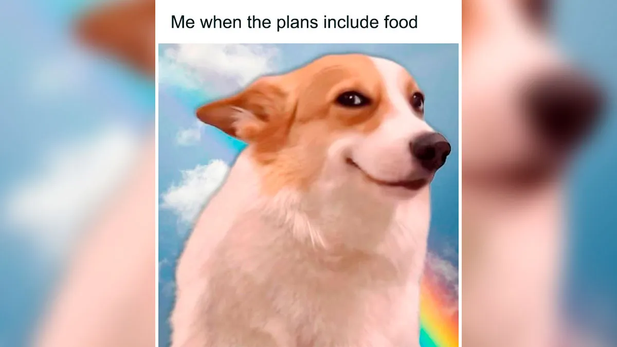 50 Hilarious Memes To Help You Decompress When Life Gets A Little Bit Too Much