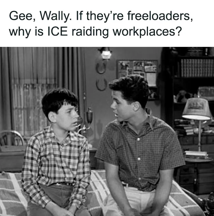 50 People Are Sharing Memes That Hit Hard With Humor And Harsh Truths