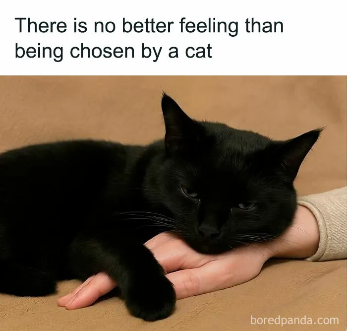 50 Uplifting Posts That Might Restore Your Faith In Humanity And Goodness In The World