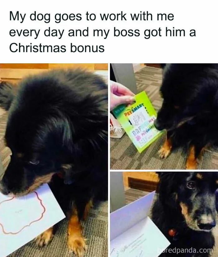 Black dog at work receiving a Christmas bonus from boss, featured in wholesome memes to send to favorite people.