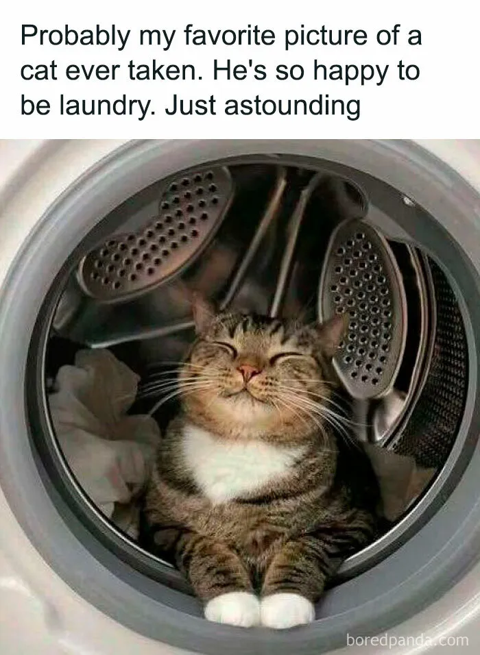 50 Uplifting Posts That Might Restore Your Faith In Humanity And Goodness In The World
