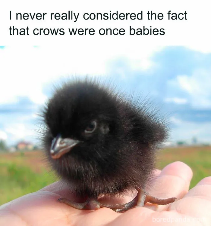 50 Uplifting Posts That Might Restore Your Faith In Humanity And Goodness In The World