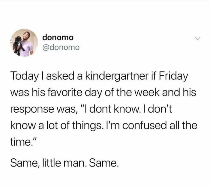 Tweet text showing a wholesome meme about a kindergartner's confusing feelings, perfect for sharing wholesome memes.