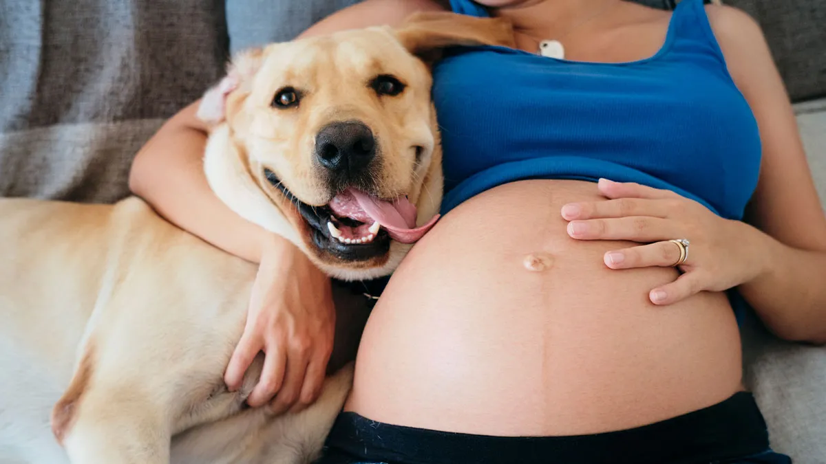 “Family, Not Decoration”: Overprotective Dog Owner Shuts Down Sister’s Dream Maternity Shoot