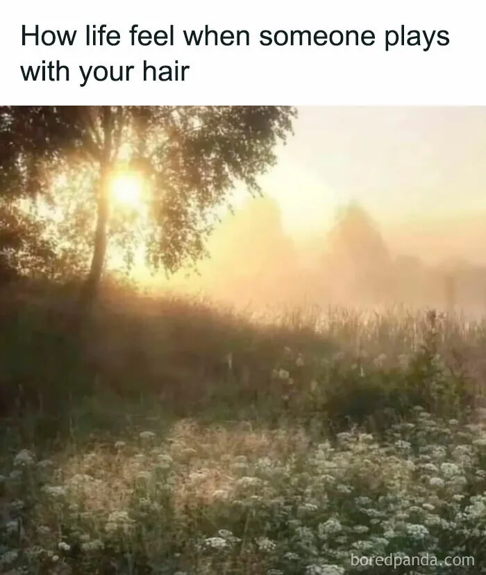 40 Relatable Memes For Women Who Are Just Trying Their Best