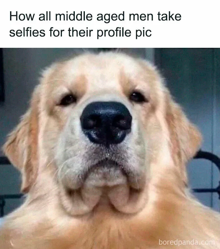50 Hilariously Relatable Memes That Might Make You Feel Like You’re Looking In The Mirror