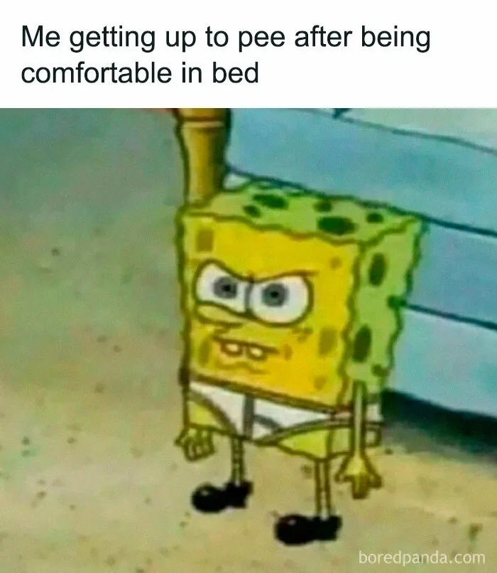 50 Hilariously Relatable Memes That Might Make You Feel Like You’re Looking In The Mirror