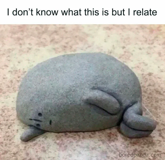 A gray seal-shaped rock lying on the ground with relatable energy that makes you want to rest and relax.