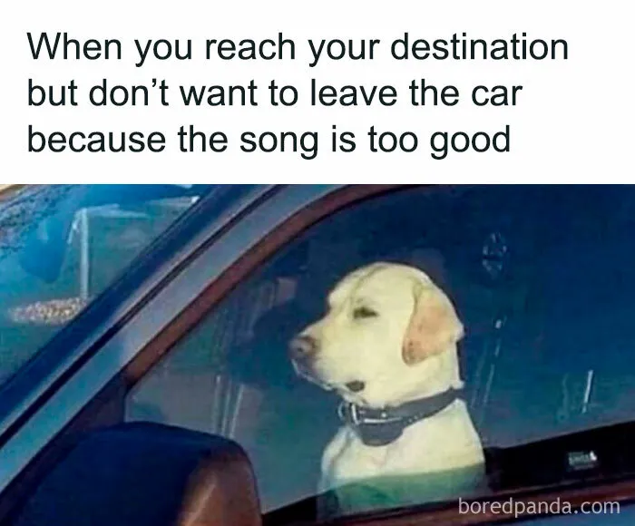 50 Hilariously Relatable Memes That Might Make You Feel Like You’re Looking In The Mirror