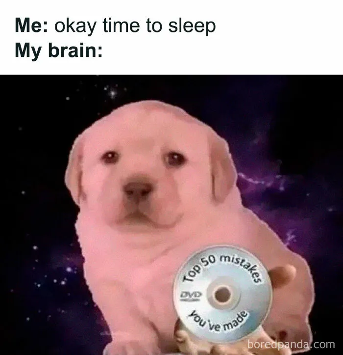 50 Hilariously Relatable Memes That Might Make You Feel Like You’re Looking In The Mirror