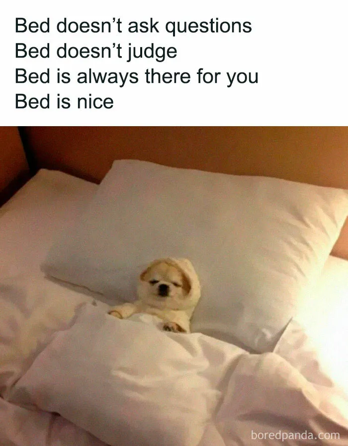50 Hilariously Relatable Memes That Might Make You Feel Like You’re Looking In The Mirror
