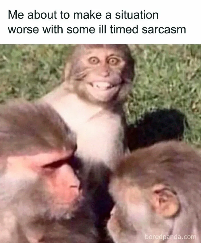 50 Hilariously Relatable Memes That Might Make You Feel Like You’re Looking In The Mirror
