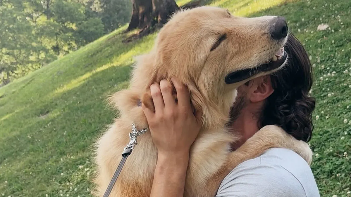 These Adorable Pictures Of A Rescue Dog Reuniting With Its Owner Are Breaking The Internet