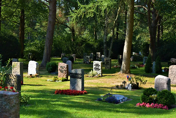 Peaceful cemetery scene with gravestones and trees, evoking reflection on shocking moments on live television.