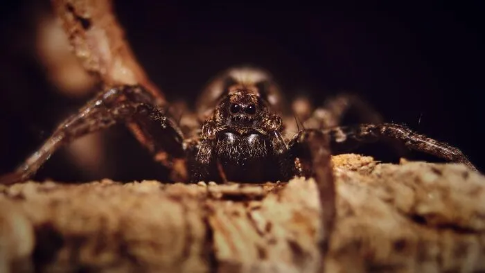 33 Terrifying Moments That Made Urban Explorers Drop Their Flashlights And Bolt