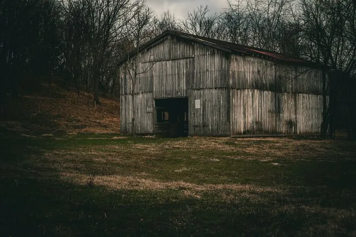 Abandoned wooden barn in eerie forest setting, reflecting creepy encounters shared by explorers during their escapades.