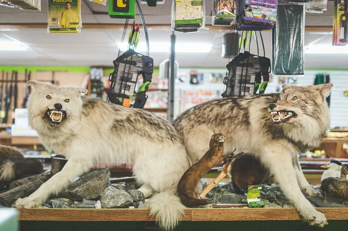 From Cute To Concerning, These 33 Hobbies Are Major Red Flags To Some