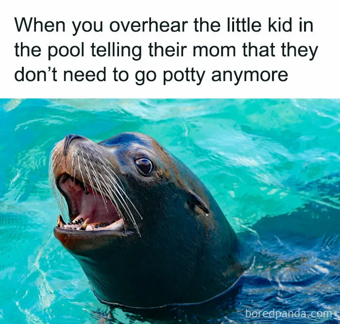 50 Red-Hot And Hilarious Summer Memes To Laugh At While You Pretend To Enjoy Being Outside