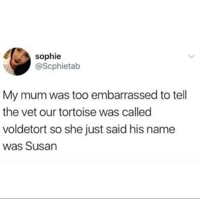 Funny-British-Memes-Tweets