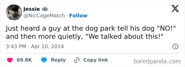 Dog Park Drama Unfolds