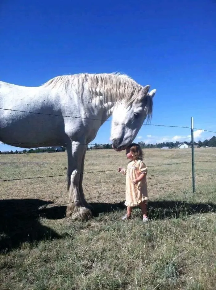 People Share Adorable Animal Moments In This Facebook Group, And Here Are 23 Of The Best