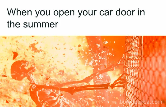 50 Red-Hot And Hilarious Summer Memes To Laugh At While You Pretend To Enjoy Being Outside