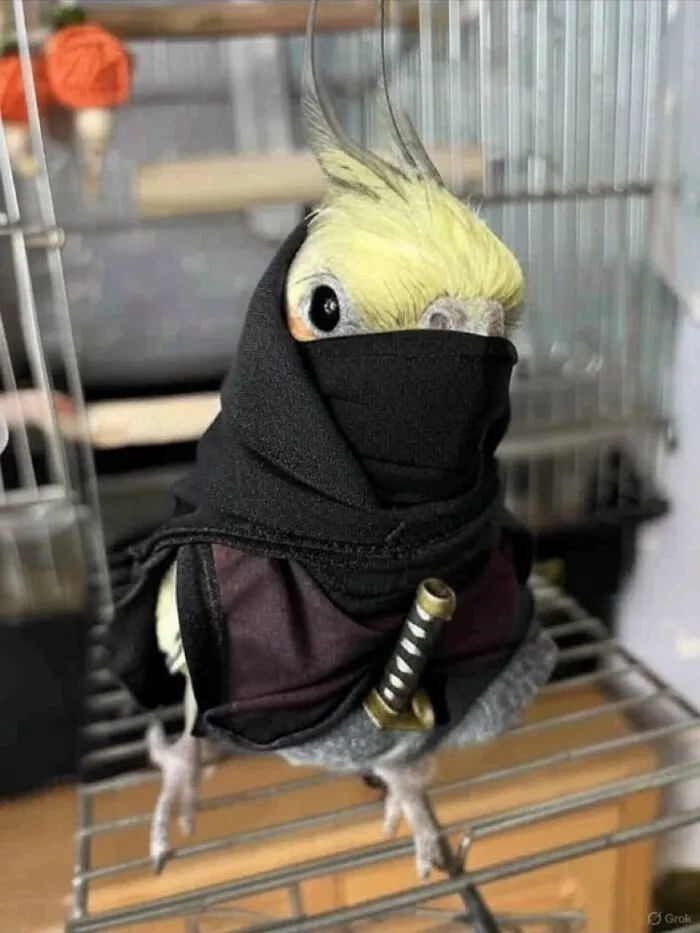 People Share Adorable Animal Moments In This Facebook Group, And Here Are 23 Of The Best