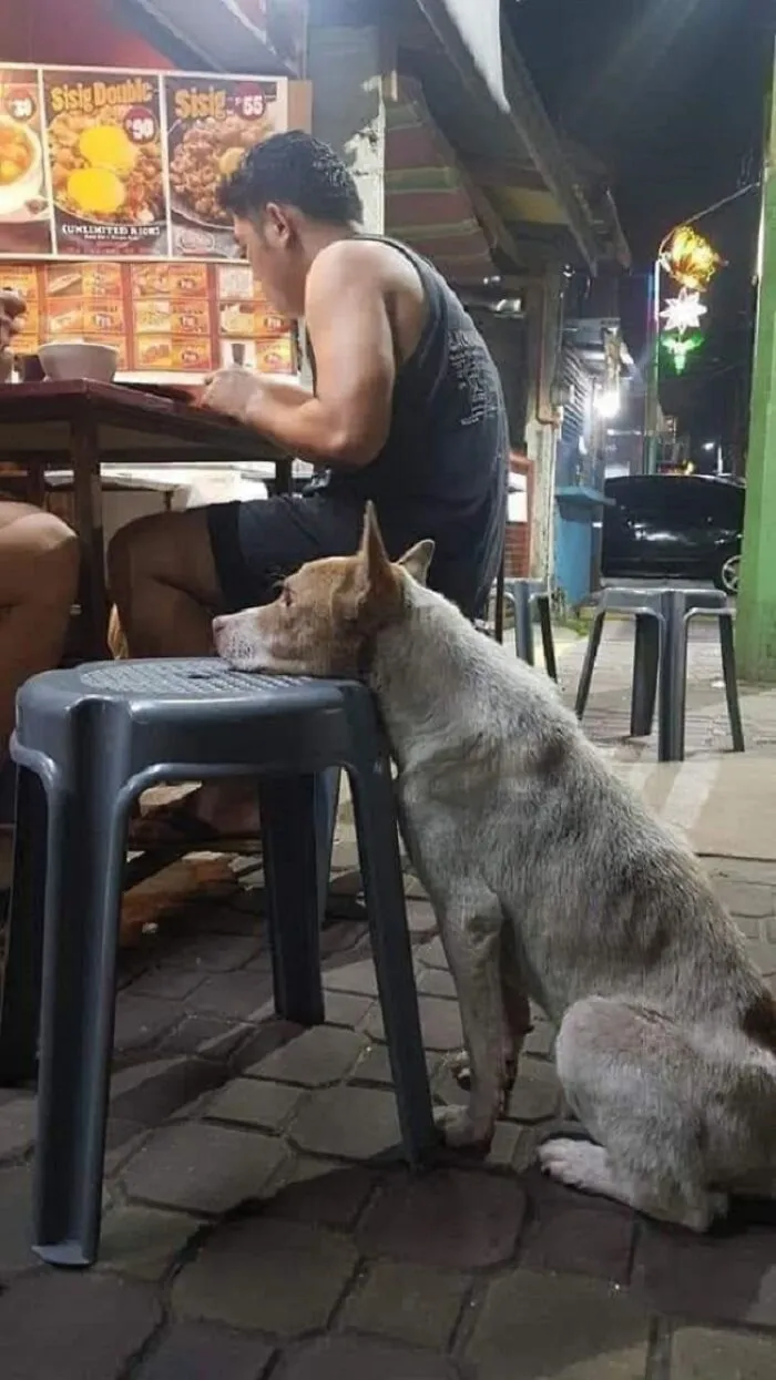 People Share Adorable Animal Moments In This Facebook Group, And Here Are 23 Of The Best