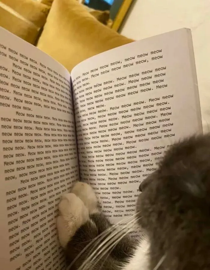 People Share Adorable Animal Moments In This Facebook Group, And Here Are 23 Of The Best