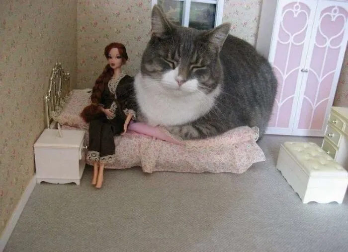 People Share Adorable Animal Moments In This Facebook Group, And Here Are 23 Of The Best