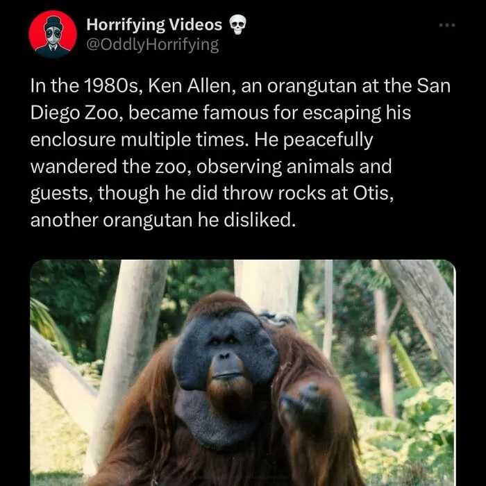 50 Unsettling Images From The "Oddly Horrifying" Online Group (New Pics)