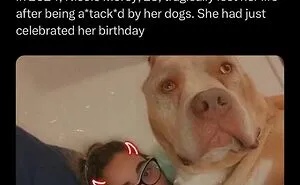 50 Unsettling Images From The "Oddly Horrifying" Online Group (New Pics)