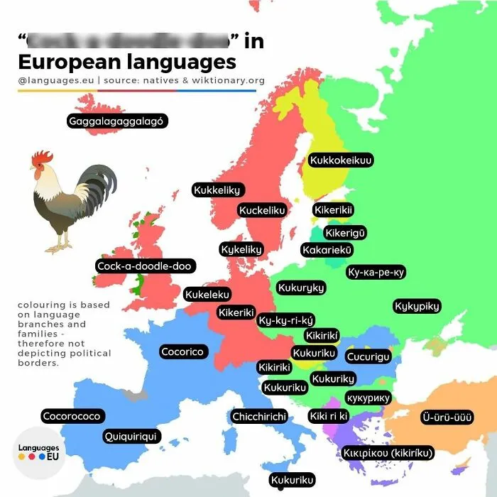 Roosters Without Borders