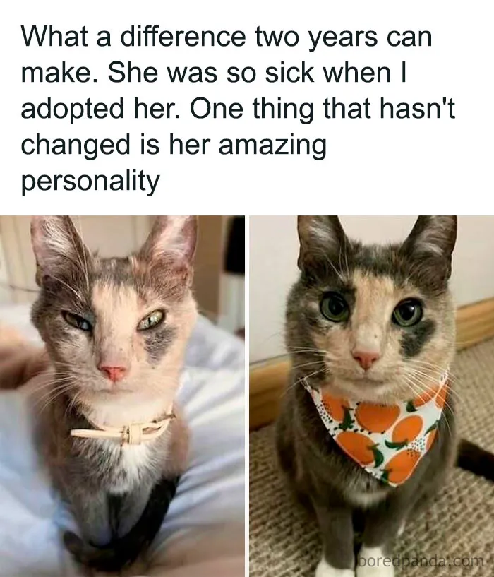 Well Done For Taking Such Good Care Of Her 👏 ❤