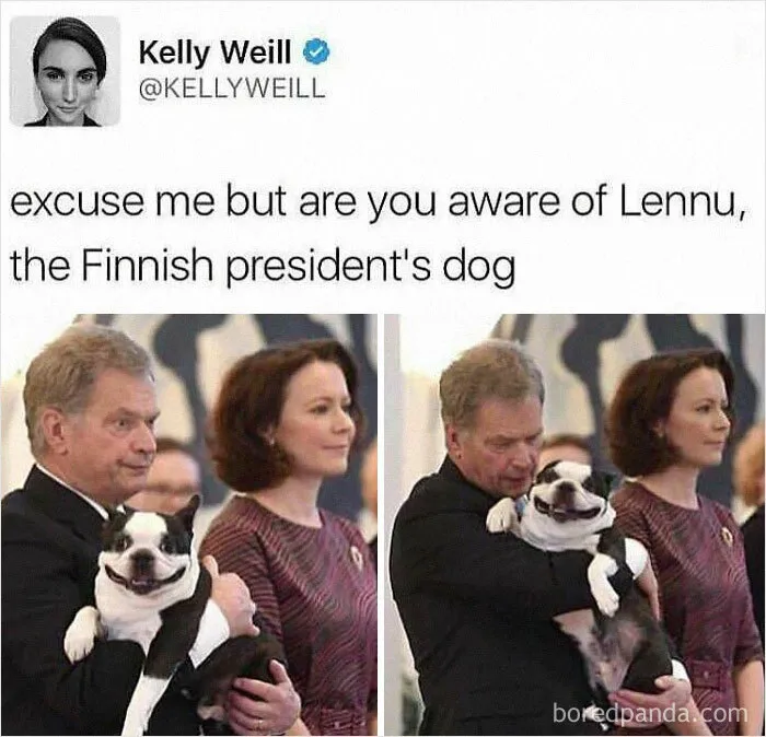 Presidential Pup Perks 
