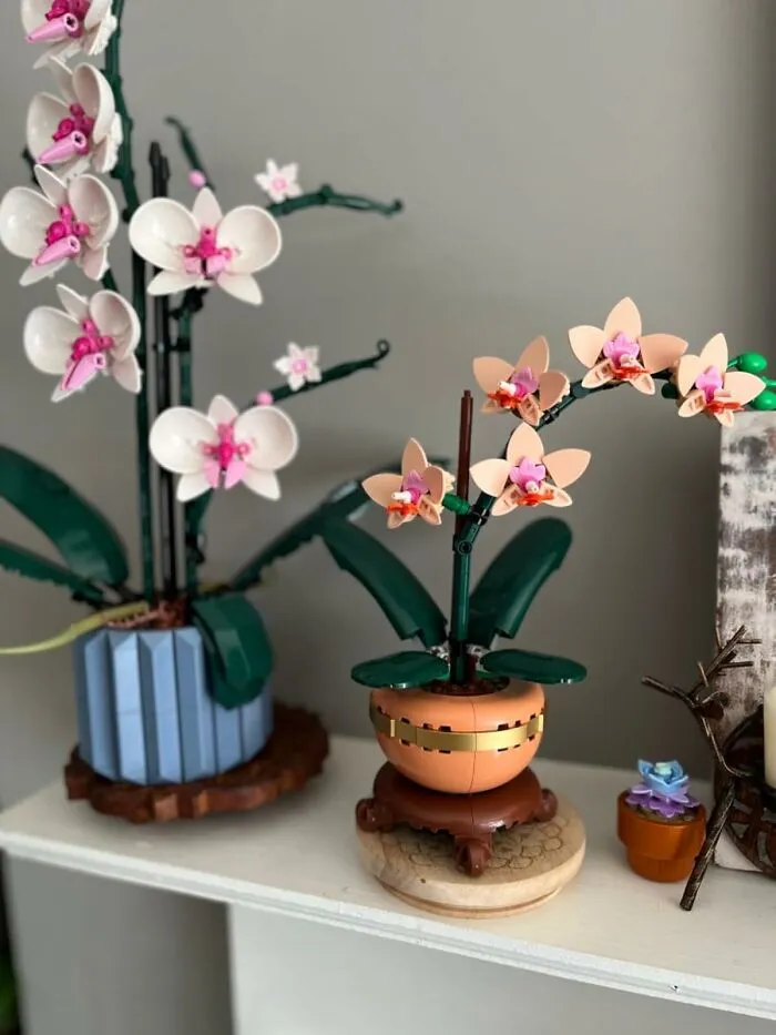 Becoming A Proud Plant Parent Whose Floral Arrangements Will Literally Never Die Is The Specific Flex Of <a Style="Display:inline;" Href="Https://Www.amazon.com/LEGO-Botanicals-Mini-Orchid-Building/Dp/B0dj19vgdd?ie=utf8&linkcode=ll1&tag=bpaxolotl-20&linkid=0d7a0d45a3af8cba9873a2dc1afd02d8&language=en_us&ref_=as_li_ss_tl" Target="_blank">  <span Style="Font: Inherit; Color: #d74b1f;"> LEGO Botanicals</Span>