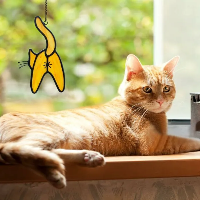 You Can Finally Give The Most Prominent View Your Cat Offers You The Stained Glass Tribute It So Richly Deserves With This <a Style="Display:inline;" Href="Https://Www.amazon.com/Epogifts-Stained-Suncatcher-Hanging-Friends/Dp/B0ccj551k2?th=1&linkcode=ll1&tag=bpraccoon-20&linkid=edde28ccfbf9c2d92b986edd62594f1d&language=en_us&ref_=as_li_ss_tl" Target="_blank">  <span Style="Font: Inherit; Color: #d74b1f;"> Orange Cat Stained Glass Suncatcher </Span>