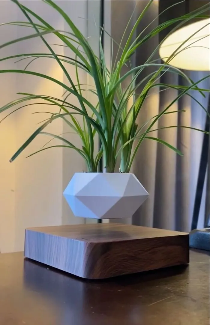 The Wizards At Hogwarts Have Clearly Expanded Into Home Goods, Because There's No Other Explanation For A<a Style="Display:inline;" Href="Https://Www.amazon.com/Levitating-Rotation-Planters-Levitation-Suspension/Dp/B088d2qzdb?ie=utf8&th=1&linkcode=ll1&tag=bpfig-20&linkid=6137eab601d0abd8e7e9869d465e98c8&language=en_us&ref_=as_li_ss_tl" Target="_blank">     <span Style="Font: Inherit; Color: #d74b1f;"> Levitating Bonsai Pot</Span>