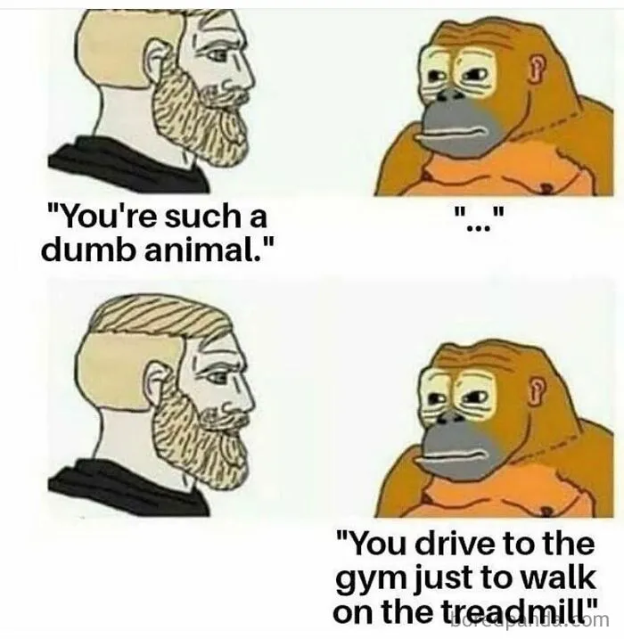 50 Gym Memes That Pick At The Stereotypes But Are Also Pretty Relatable