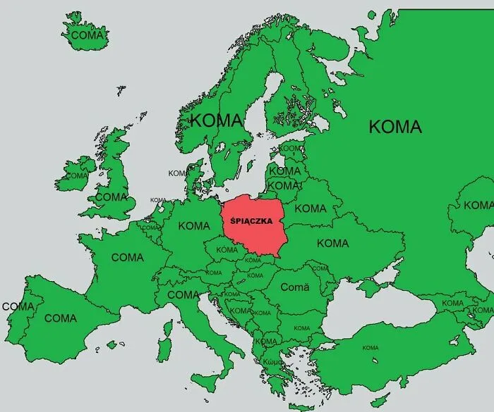 "Coma" (Medical Term) In European Languages