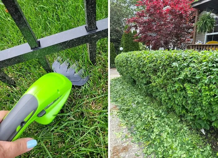 Giving Your Unruly Bushes A Sharp, Clean Haircut No Longer Requires Wrestling With A Tangled Extension Cord Thanks To A <a Style="Display:inline;" Href="Https://Www.amazon.com/Workpro-Cordless-Grass-Shrubbery-Trimmer/Dp/B08zhg7ppm?ie=utf8&th=1&linkcode=ll1&tag=bppanther-20&linkid=b646396834360fda6f796d0e290a7b75&language=en_us&ref_=as_li_ss_tl" Target="_blank">  <span Style="Font: Inherit; Color: #d74b1f;"> Cordless Grass Shear & Shrubbery Trimmer </Span>