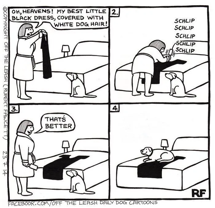"Off The Leash": 38 Funny Comics That Most Dog Owners Might Relate To (New Pics)