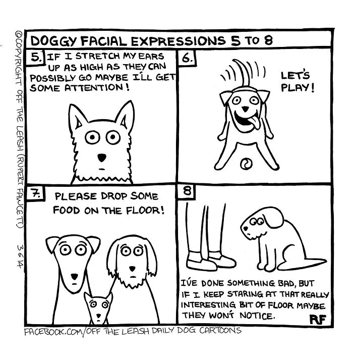 Comic strip showing doggy facial expressions with playful and attention-seeking looks in hilarious off the leash dog comics.