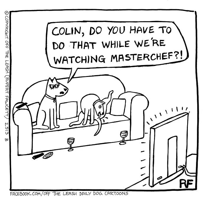 Two dogs on a couch, one upset while watching Masterchef, in a funny Off The Leash comic about dog owner life.