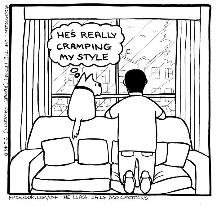 Black and white comic of a dog and owner inside, dog thinking about how the owner is cramping its style, relatable dog owner humor.