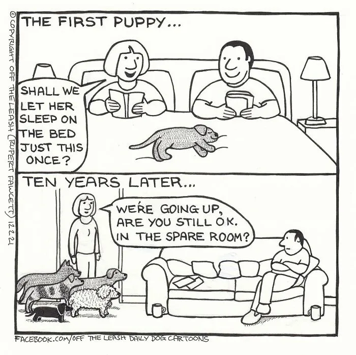 Comic showing the evolution of dog ownership with humorous dogs on a bed and multiple dogs in the spare room.