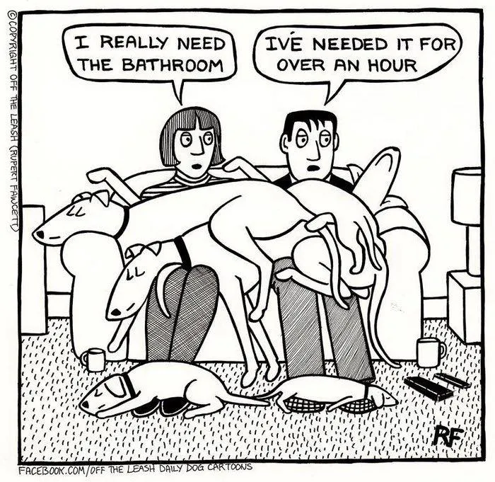 "Off The Leash": 38 Funny Comics That Most Dog Owners Might Relate To (New Pics)